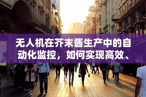 无人机在芥末酱生产中的自动化监控，如何实现高效、无损的实时检测？