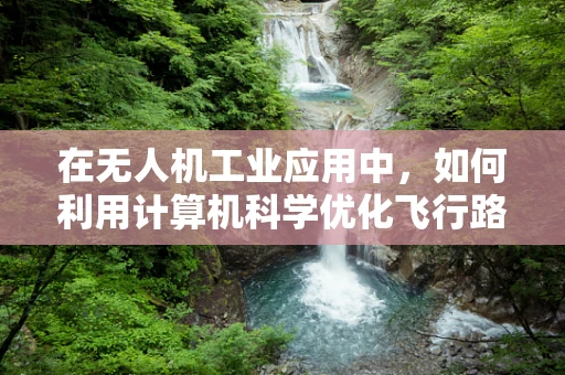 在无人机工业应用中，如何利用计算机科学优化飞行路径规划？