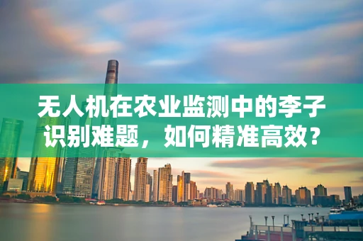 无人机在农业监测中的李子识别难题，如何精准高效？