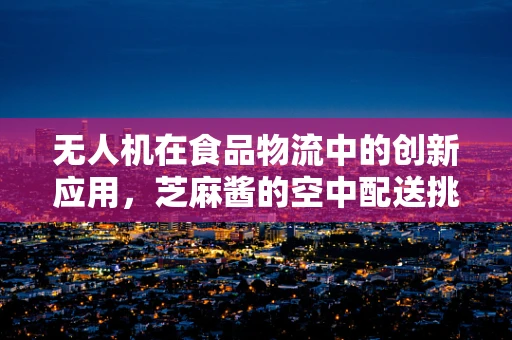 无人机在食品物流中的创新应用，芝麻酱的空中配送挑战