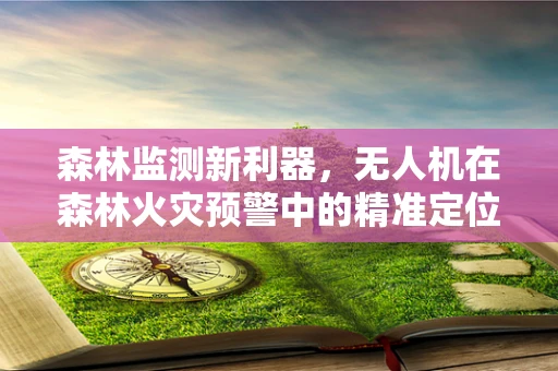 森林监测新利器，无人机在森林火灾预警中的精准定位挑战