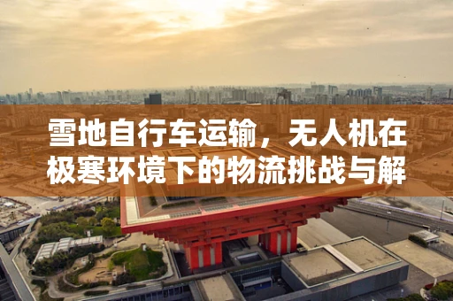 雪地自行车运输，无人机在极寒环境下的物流挑战与解决方案