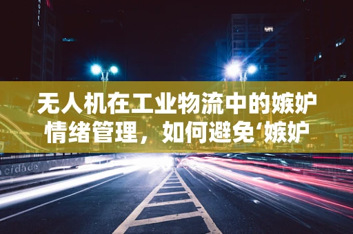 无人机在工业物流中的嫉妒情绪管理，如何避免‘嫉妒’导致的工作效率下降？