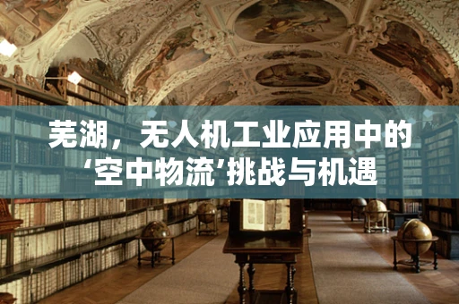 芜湖，无人机工业应用中的‘空中物流’挑战与机遇