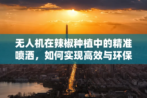 无人机在辣椒种植中的精准喷洒，如何实现高效与环保的平衡？