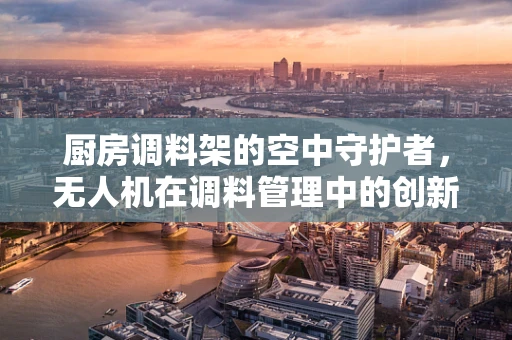 厨房调料架的空中守护者，无人机在调料管理中的创新应用？