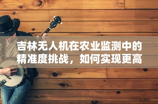 吉林无人机在农业监测中的精准度挑战，如何实现更高效的作物监测？