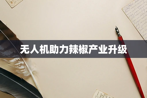 无人机助力辣椒产业升级