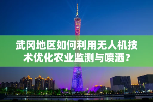 武冈地区如何利用无人机技术优化农业监测与喷洒？