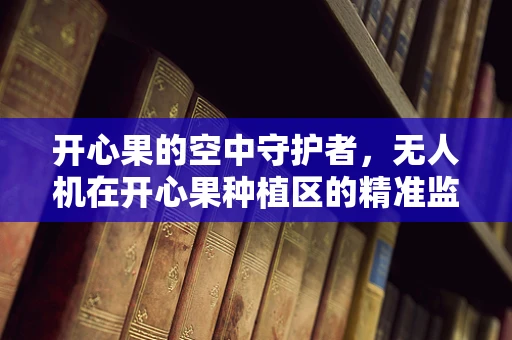 开心果的空中守护者，无人机在开心果种植区的精准监测挑战