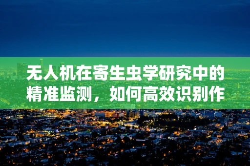 无人机在寄生虫学研究中的精准监测，如何高效识别作物害虫的微小痕迹？
