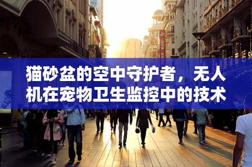 猫砂盆的空中守护者，无人机在宠物卫生监控中的技术挑战与解决方案