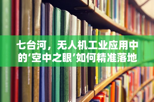 七台河，无人机工业应用中的‘空中之眼’如何精准落地？