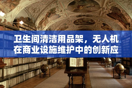 卫生间清洁用品架，无人机在商业设施维护中的创新应用？