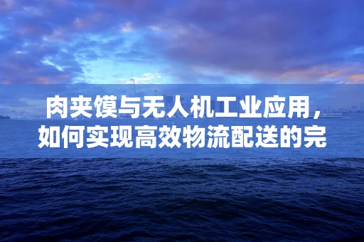 肉夹馍与无人机工业应用，如何实现高效物流配送的完美结合？