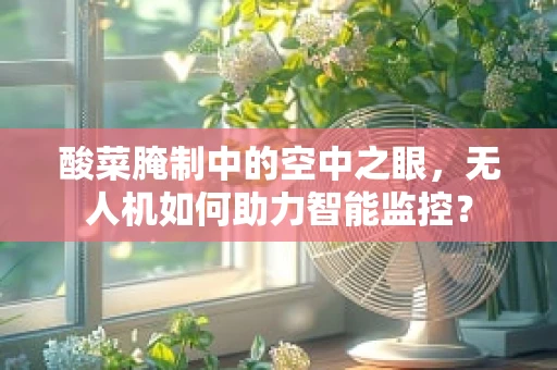 酸菜腌制中的空中之眼，无人机如何助力智能监控？