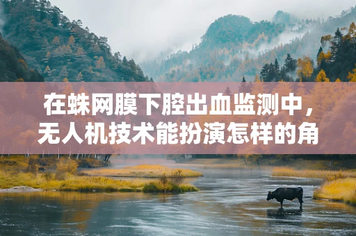 在蛛网膜下腔出血监测中，无人机技术能扮演怎样的角色？