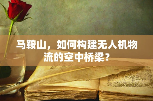 马鞍山，如何构建无人机物流的空中桥梁？
