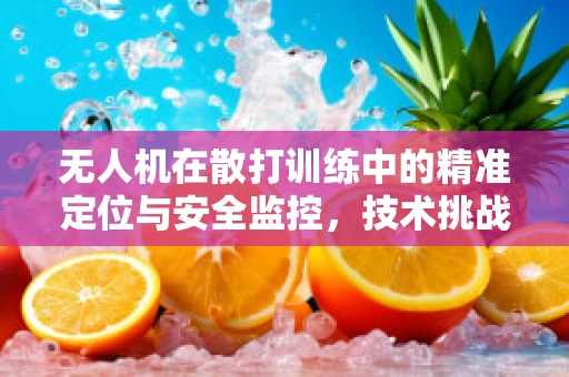 无人机在散打训练中的精准定位与安全监控，技术挑战与解决方案？