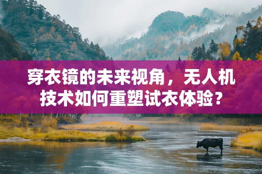 穿衣镜的未来视角，无人机技术如何重塑试衣体验？