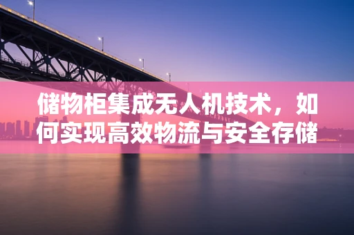储物柜集成无人机技术，如何实现高效物流与安全存储的完美结合？