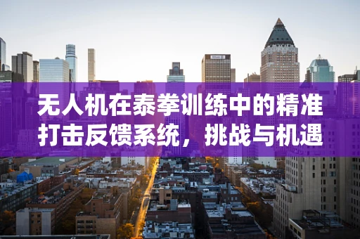 无人机在泰拳训练中的精准打击反馈系统，挑战与机遇？