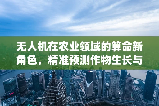 无人机在农业领域的算命新角色，精准预测作物生长与病虫害