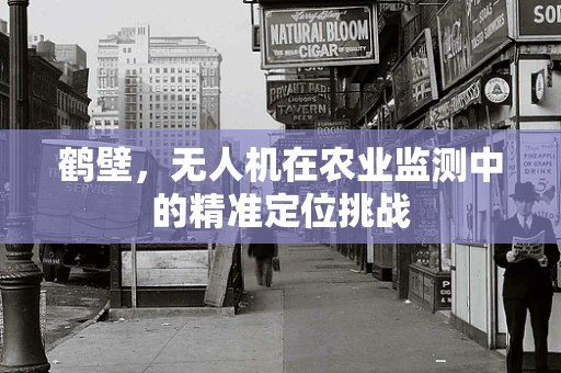鹤壁，无人机在农业监测中的精准定位挑战