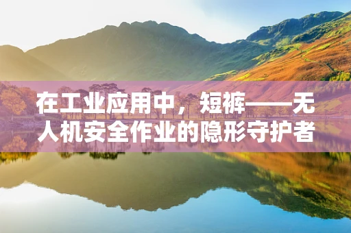 在工业应用中，短裤——无人机安全作业的隐形守护者？