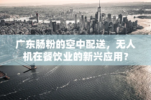广东肠粉的空中配送，无人机在餐饮业的新兴应用？