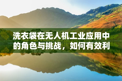 洗衣袋在无人机工业应用中的角色与挑战，如何有效利用以提升货物运输效率？