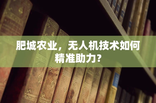 肥城农业，无人机技术如何精准助力？
