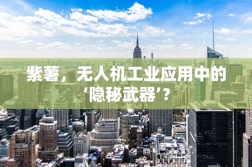 紫薯，无人机工业应用中的‘隐秘武器’？