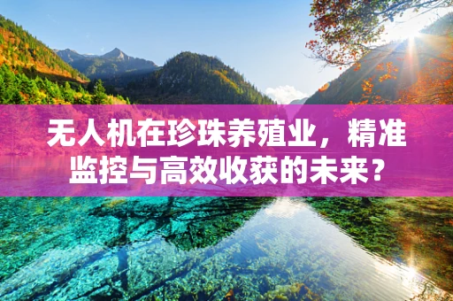 无人机在珍珠养殖业，精准监控与高效收获的未来？