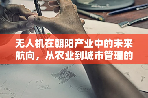 无人机在朝阳产业中的未来航向，从农业到城市管理的飞跃