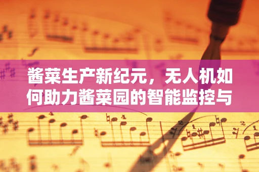 酱菜生产新纪元，无人机如何助力酱菜园的智能监控与高效运输？