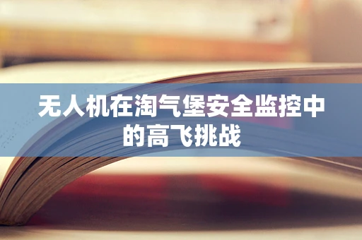 无人机在淘气堡安全监控中的高飞挑战