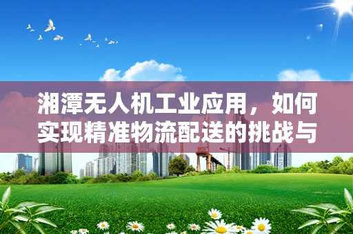 湘潭无人机工业应用，如何实现精准物流配送的挑战与对策？