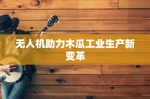 无人机助力木瓜工业生产新变革