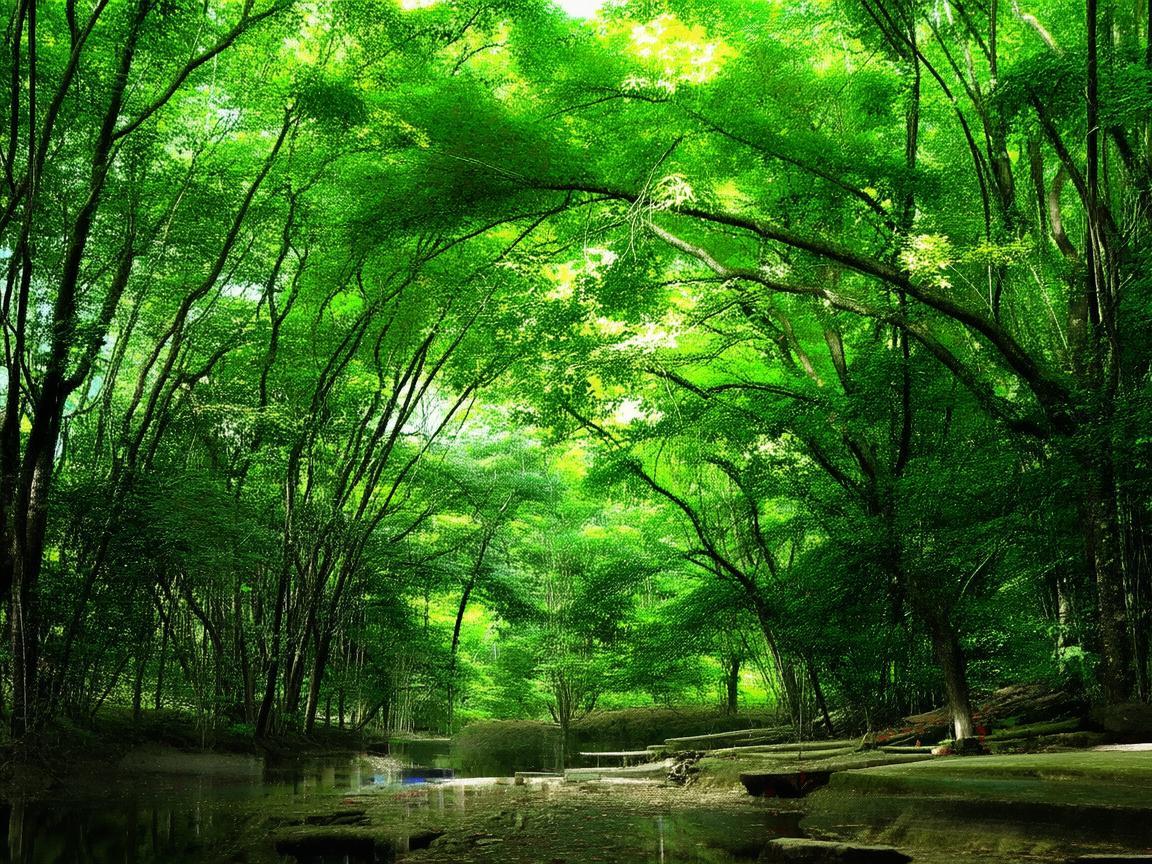 伊春林区无人机监测,如何优化飞行路径以提高森林防火效率? 伊春林区无人机监测,如何优化飞行路径以提高森林防火效率?